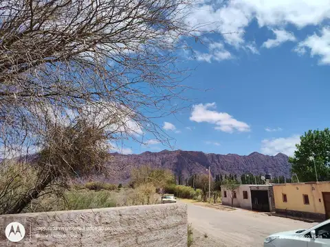 VENTA 20 HECTAREAS- VINCHINA