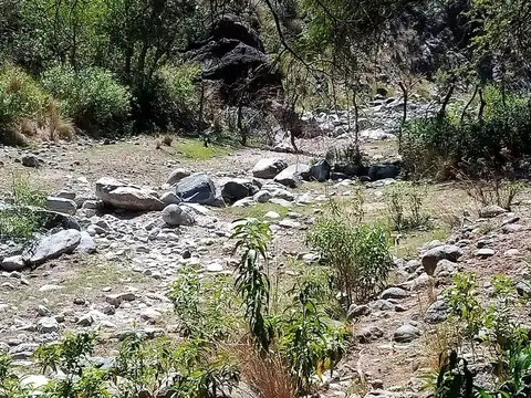 VENTA DE CAMPO DE 3399 HAS. VALLE FERTIL