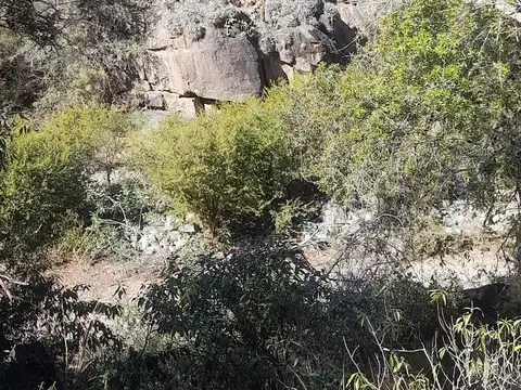 VENTA DE CAMPO DE 3399 HAS. VALLE FERTIL