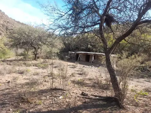 VENTA DE CAMPO DE 3399 HAS. VALLE FERTIL