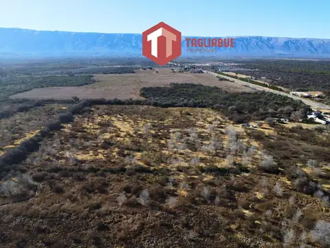 VENDE - CAMPO RUTA CINCO, Merlo, San Luis