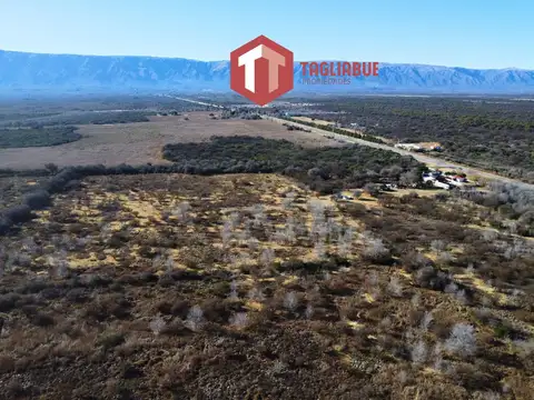 VENDE - CAMPO RUTA CINCO, Merlo, San Luis