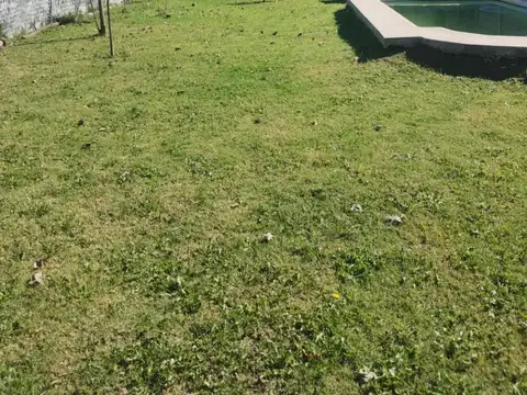 PASO 100