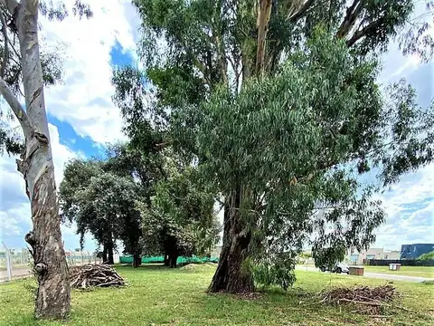 Terreno en Venta 26,51  mts Fondo