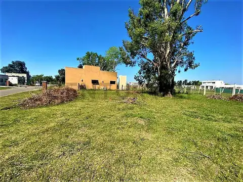 Terreno en Venta 19,07  mts Frente