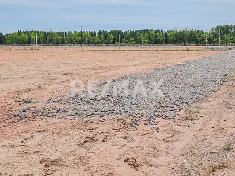 sección 28 fraccion C lote 2