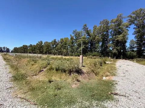 Lote en venta en Plomer 1195 m2 Escriturable