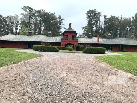 HARAS SAN PABLO