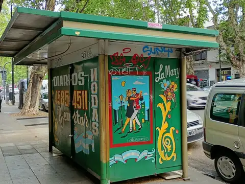 Avenida San Martín 2000