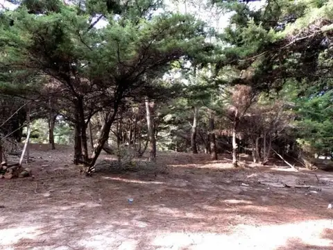 Terreno en Venta 15  mts Frente