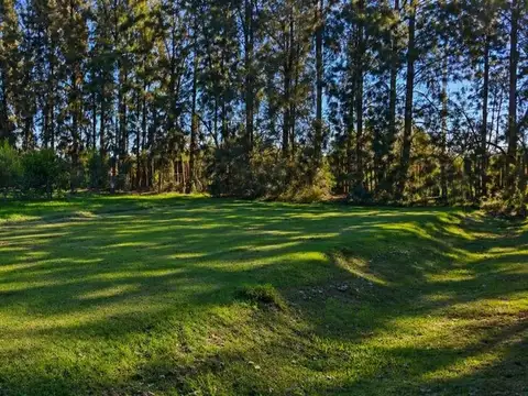 Terreno en Venta en Coronel Brandsen, Partido de Brandsen