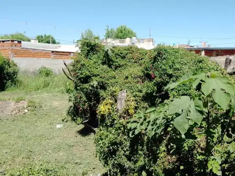 Galpón en venta - 641Mts2 - San Pedro