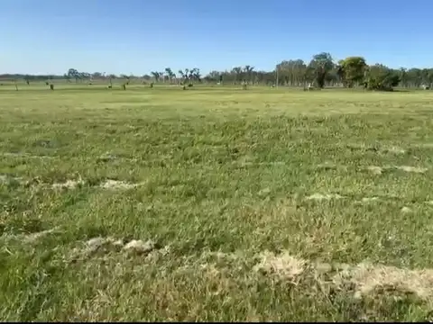 Terreno en Venta de 620,0 m2