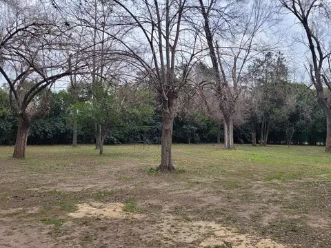 Las Heras 400, Benavidez