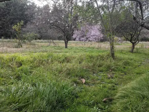 Ruta Provincial Nro 4 9700