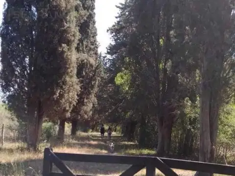 CLL. Venta campo 70000 m2, Calle Carpintero al 1000, El Cazador, Escobar.  apto desarrollo inmobiliario.