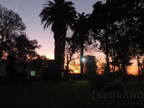 CLL. Venta campo 70000 m2, Calle Carpintero al 1000, El Cazador, Escobar.  apto desarrollo inmobiliario.