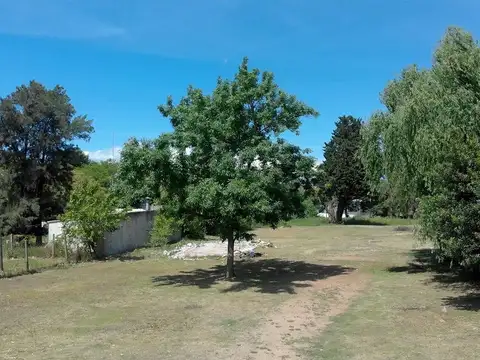 Camino al Paso Escobar y Ruta 100