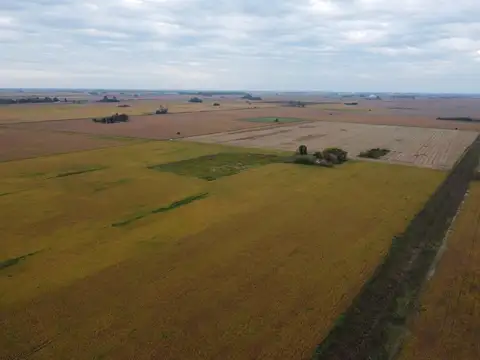 Campo 100 % agricola