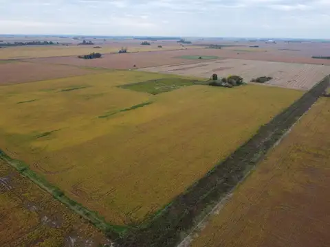 Ruta Procincial 10S 1