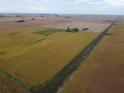 Campo 100 % agricola