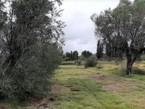 Campo en Venta en Rodeo del Medio, Maipú