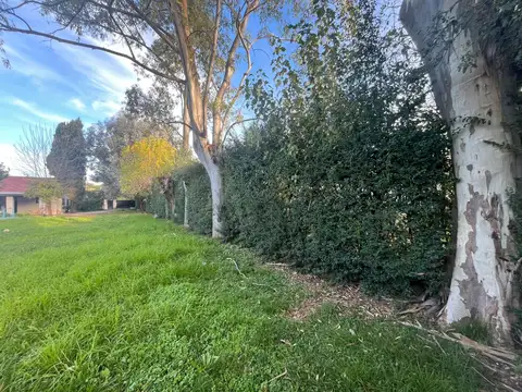Terreno en Venta en Manuel Alberti, USD 39.000