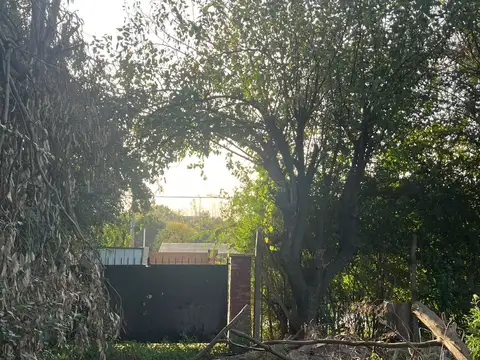 Las Margaritas 600