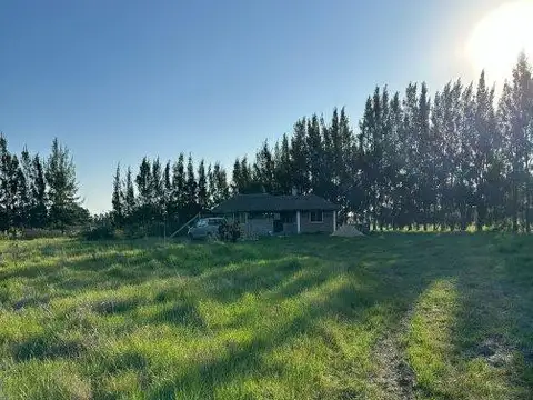 Terreno en Venta de 10000,0 m2