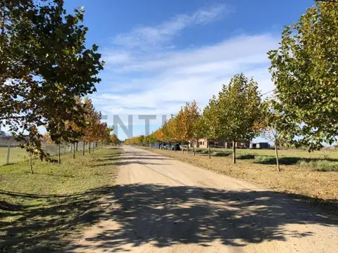 Terreno en Venta de 2300,0 m2