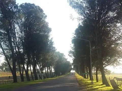 Terreno en Venta en Hernandez, USD 88.000