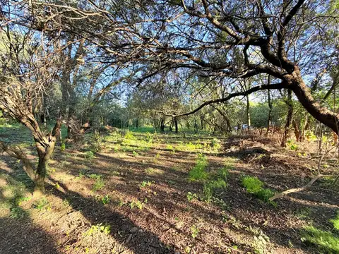 Terreno en Venta en Quebracho Ladeado, USD 20.000