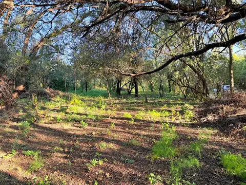 Terreno en Venta de 1100,0 m2