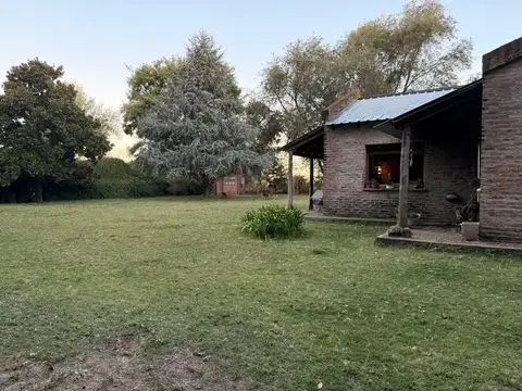 Berutti 2000