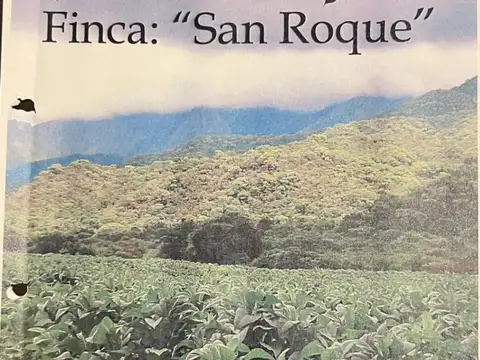 Campo en venta de 1380has ubicado en Coronel Moldes, Salta