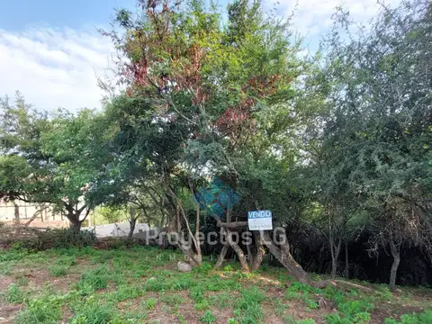 VENTA-LOTE LA GRANJA-EXCELENTE VISTA.