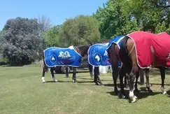 Tortugas Country Club - Foto 17