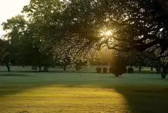 Tortugas Country Club - Foto 21