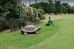 Tortugas Country Club - Foto 27