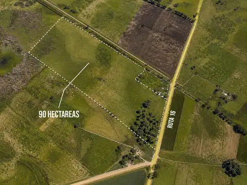 Campo en Venta en Gobernador Udaondo, Partido de Cañuelas