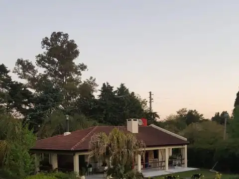 Conde Alberto 1300