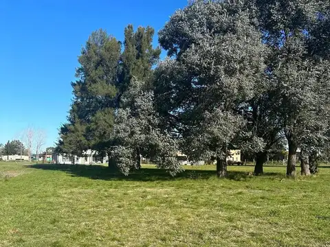 Terrenos en venta - 1.132mts2 - La Victoria, Área 60, La Plata