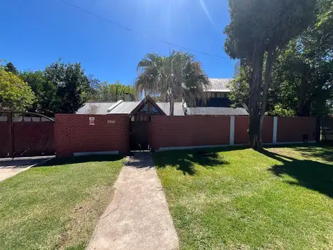 Tomás Minetti al 1900