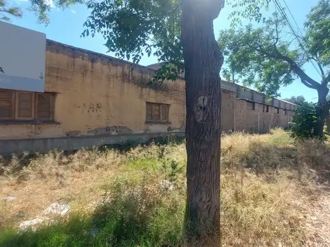 Galpon en Alquiler 31 años