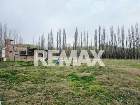 Chacra 3