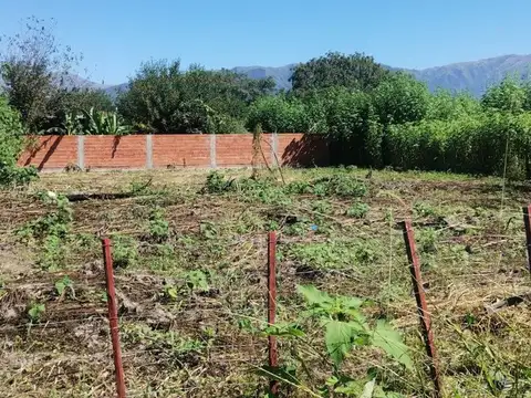 Terreno en Venta de 800,0 m2