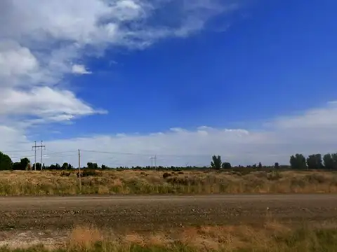 AUTOPISTA SAN JUAN - MENDOZA KM 20, EL PASTAL, LAS HERAS, MENDOZA 3300