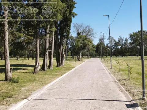 Lote en Venta, El Pato, Barrio residencial Los Cedros