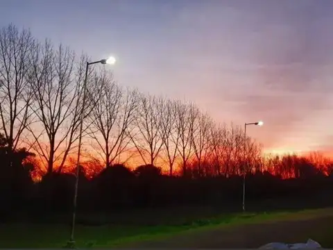 Terreno en Venta en Arturo Segui, USD 52.000