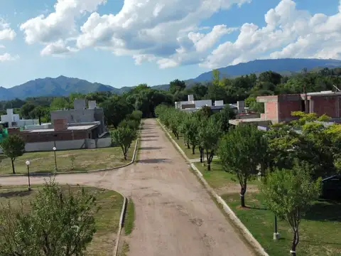 Terreno - Venta - Argentina, Juana Koslay - Av cuchi corral 500